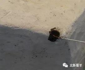 寰俊鍥剧墖_20200311105316.jpg