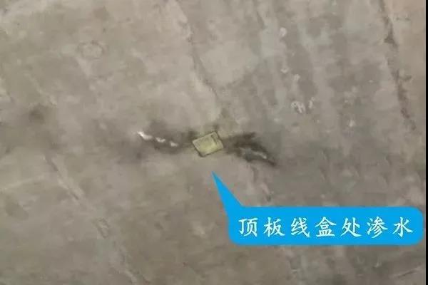寰俊鍥剧墖_20200312103700.jpg