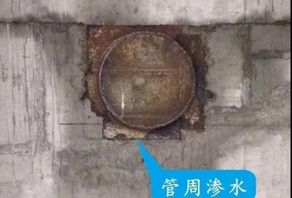 寰俊鍥剧墖_20200312103703.jpg