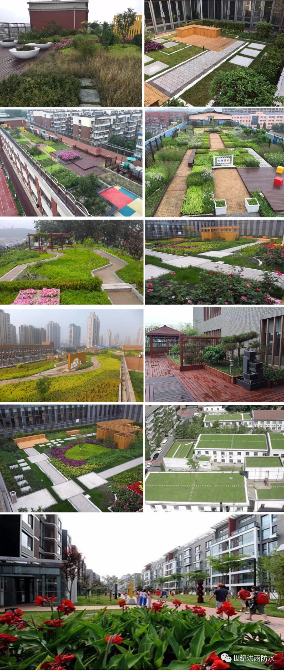 寰俊鍥剧墖_20200312111428.jpg