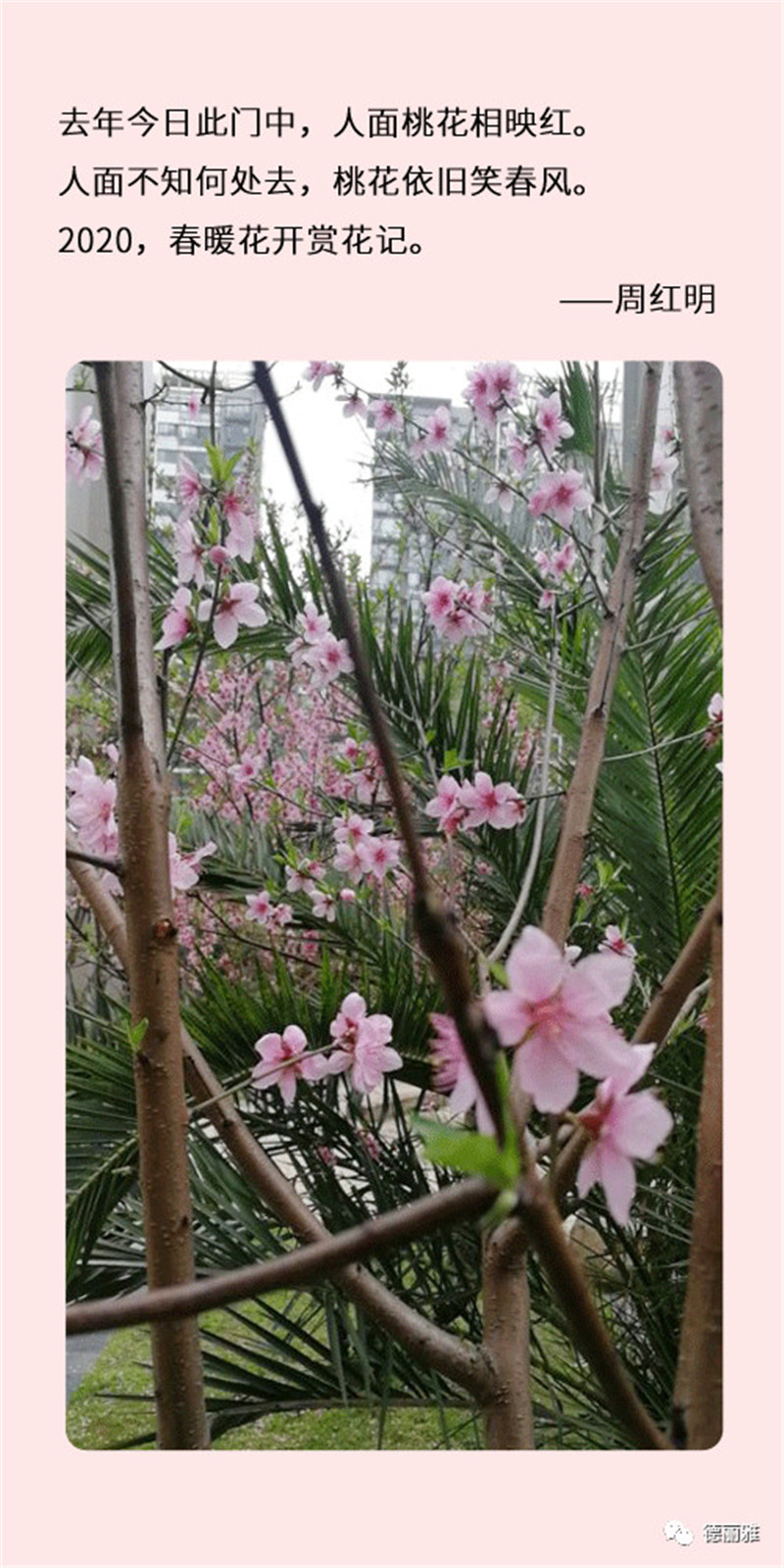 微信图片_20200316133638.jpg