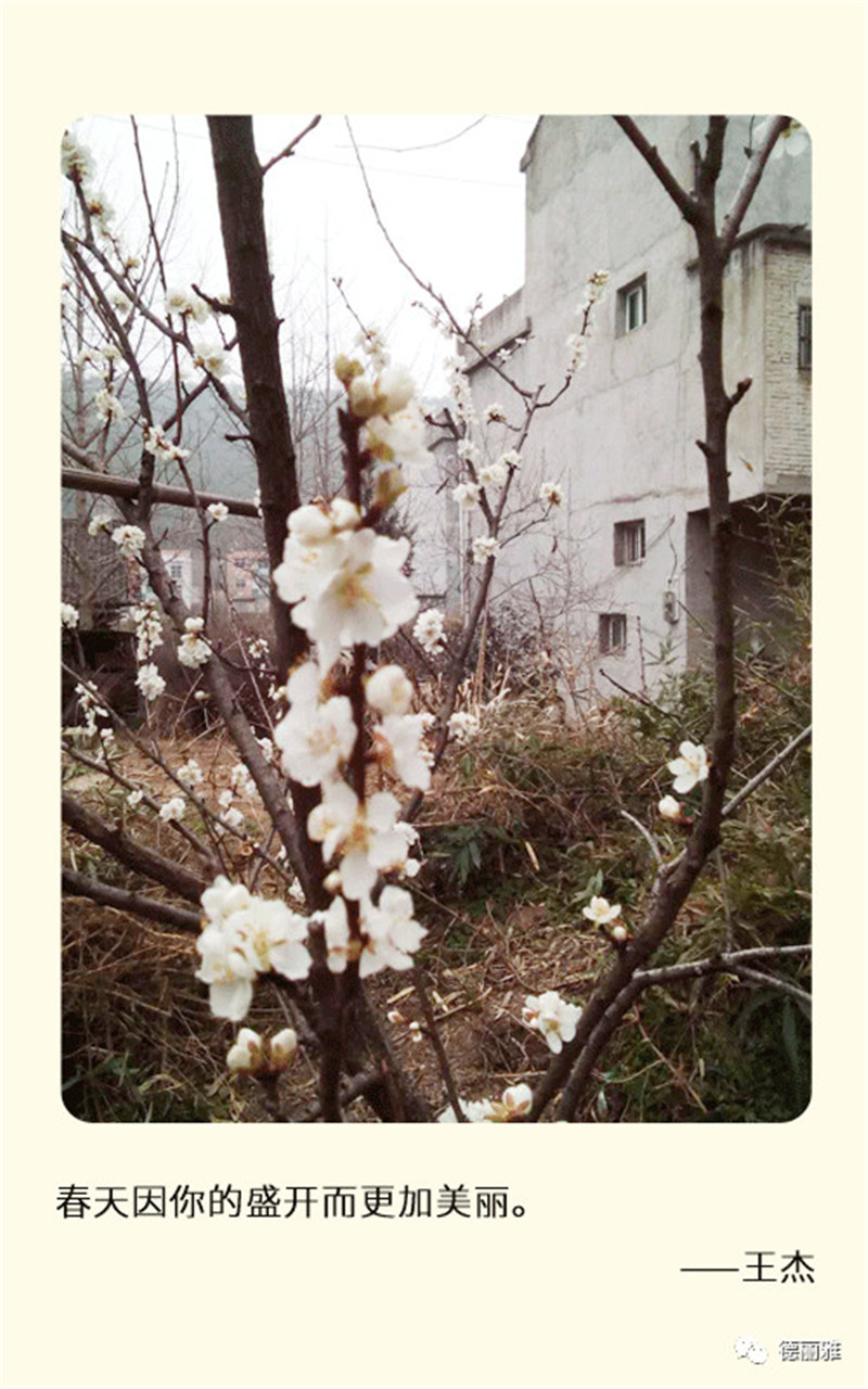 微信图片_20200316133643.jpg