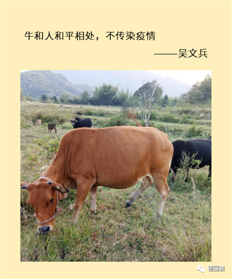 微信图片_20200316133647.jpg