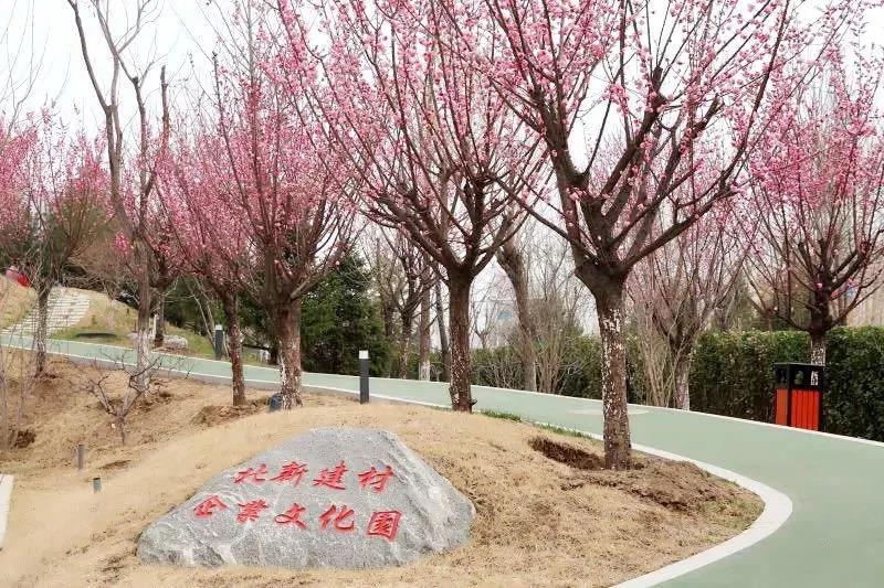 寰俊鍥剧墖_20200317103246.jpg