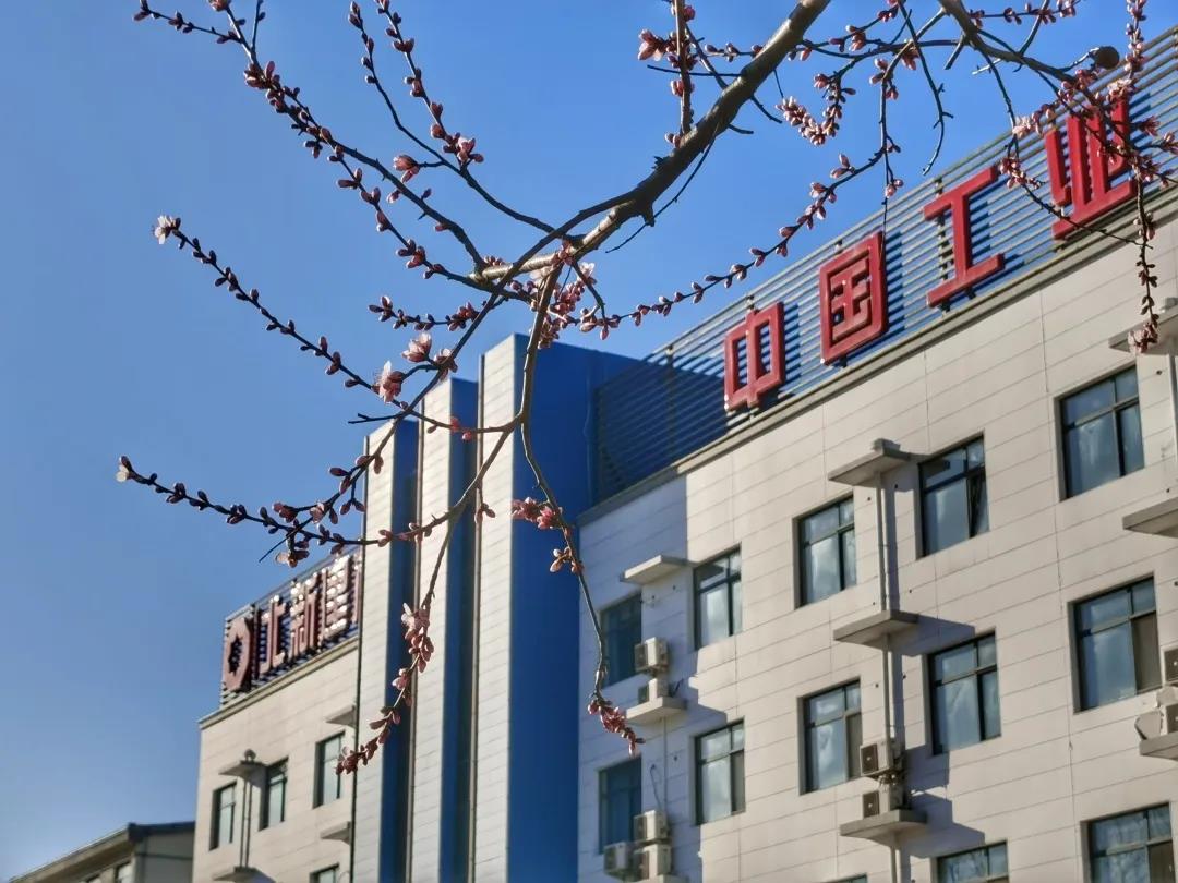 寰俊鍥剧墖_20200317103309.jpg