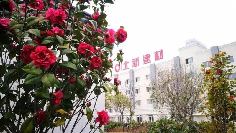 寰俊鍥剧墖_20200317103254.jpg