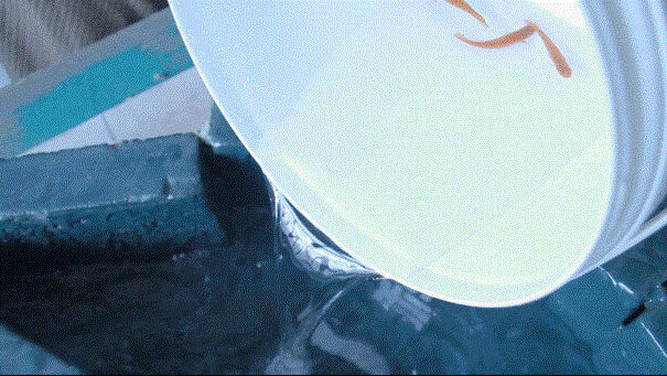 寰俊鍥剧墖_20200319141539.gif