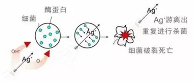 抗菌涂料2.jpg