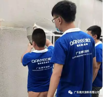 南天2.jpg