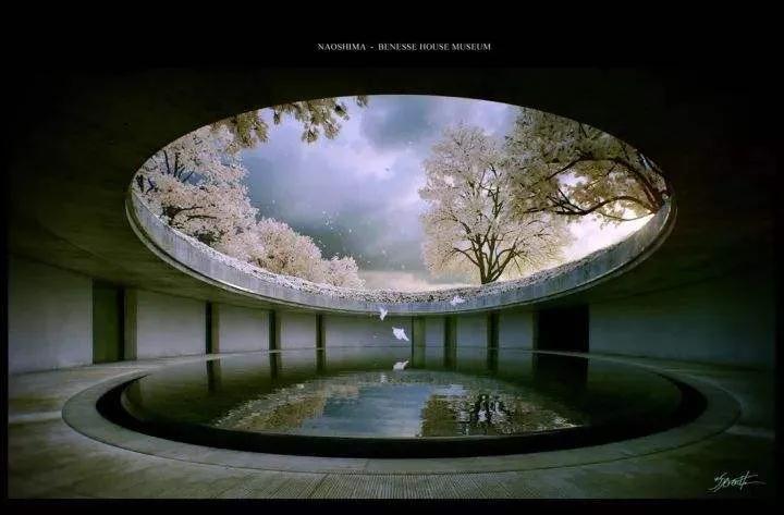 微信图片_20200325141149.jpg