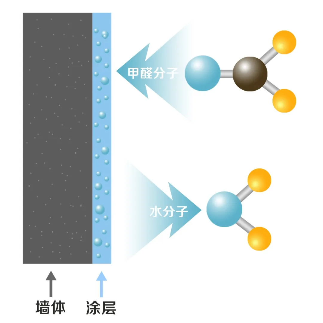 立邦2.jpg
