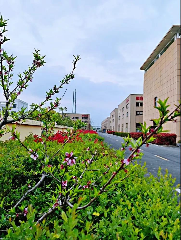 寰俊鍥劇墖_20200409094916.jpg