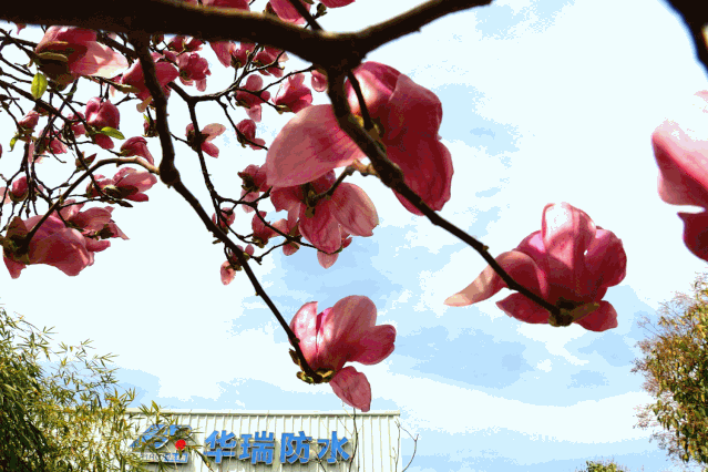 寰俊鍥剧墖_20200414095400.gif
