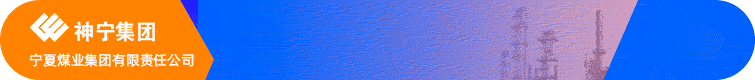 宁夏煤业集团有限责任公司.gif