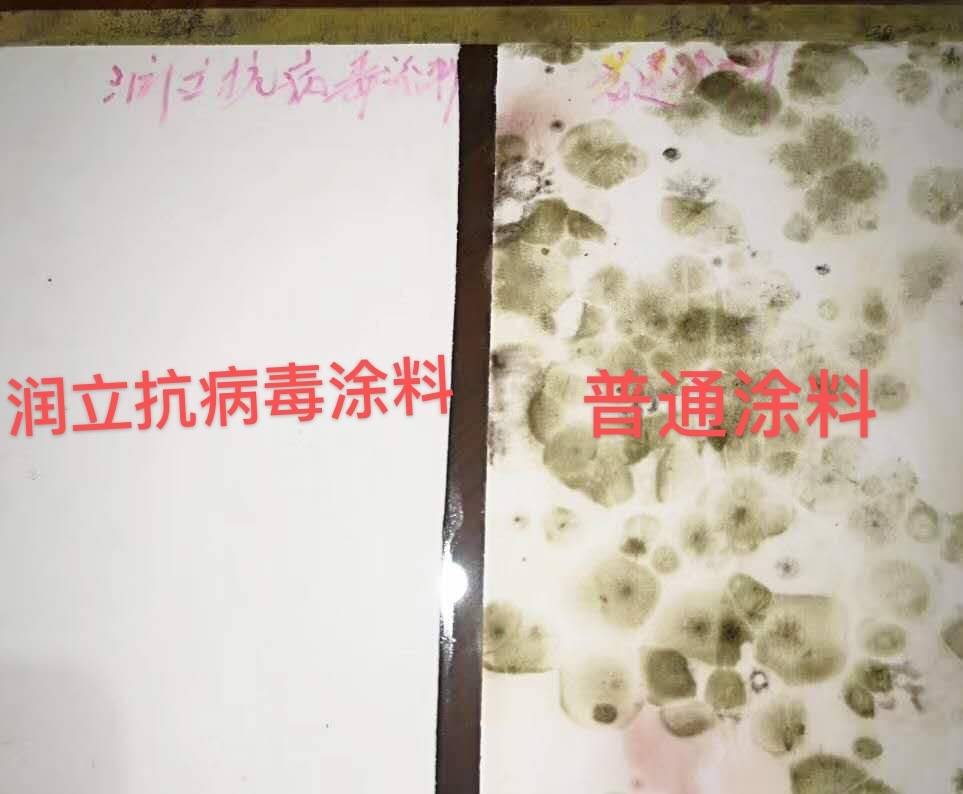 鍥剧墖1.png