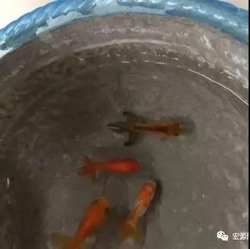 寰俊鍥剧墖_20200430172740.jpg