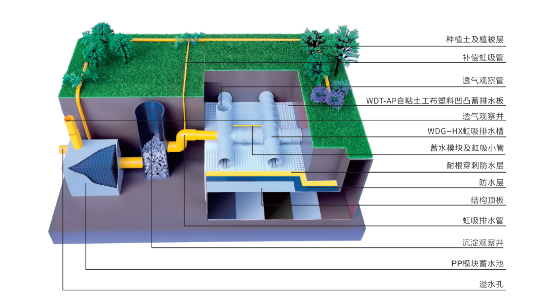 寰俊鍥剧墖_20200509100316.png