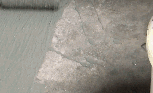 寰俊鍥剧墖_20200514110104.gif