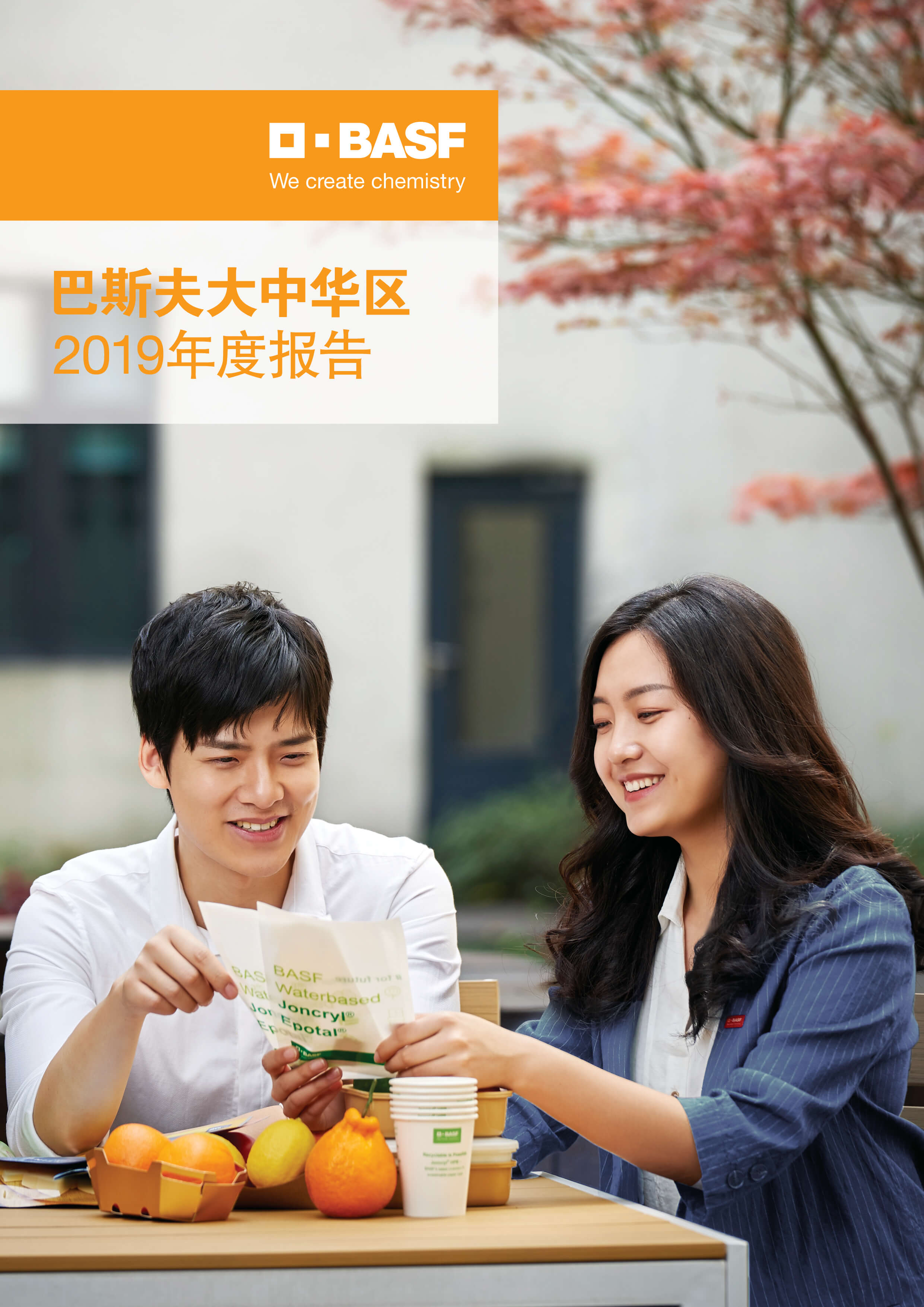 BASF in Greater China 2019 CN COVER.jpg