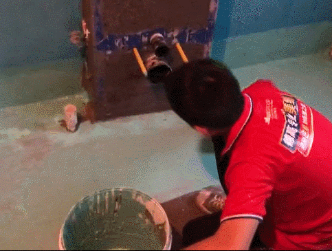 锛愶紪.gif