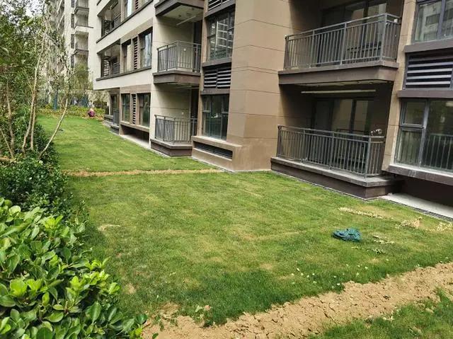 寰俊鍥剧墖_20200714111342.jpg