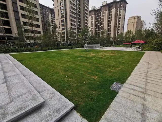 寰俊鍥剧墖_20200714111344.jpg