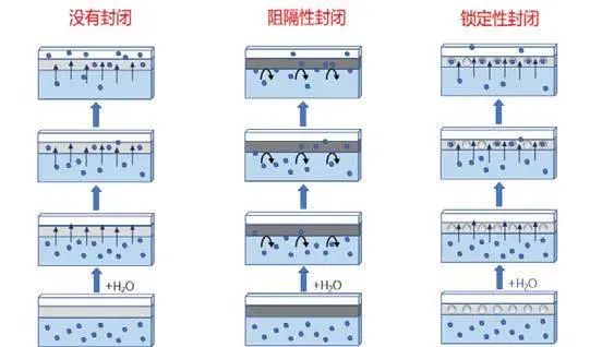 婀涙柊3.jpg