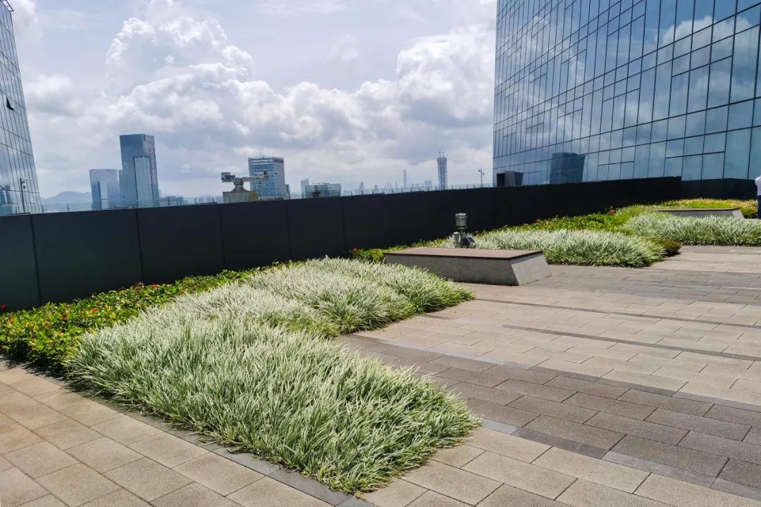 寰俊鍥剧墖_20200730094040.jpg