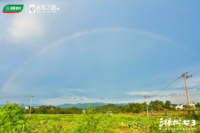寰俊鎴🍹浘_20200810092422.png