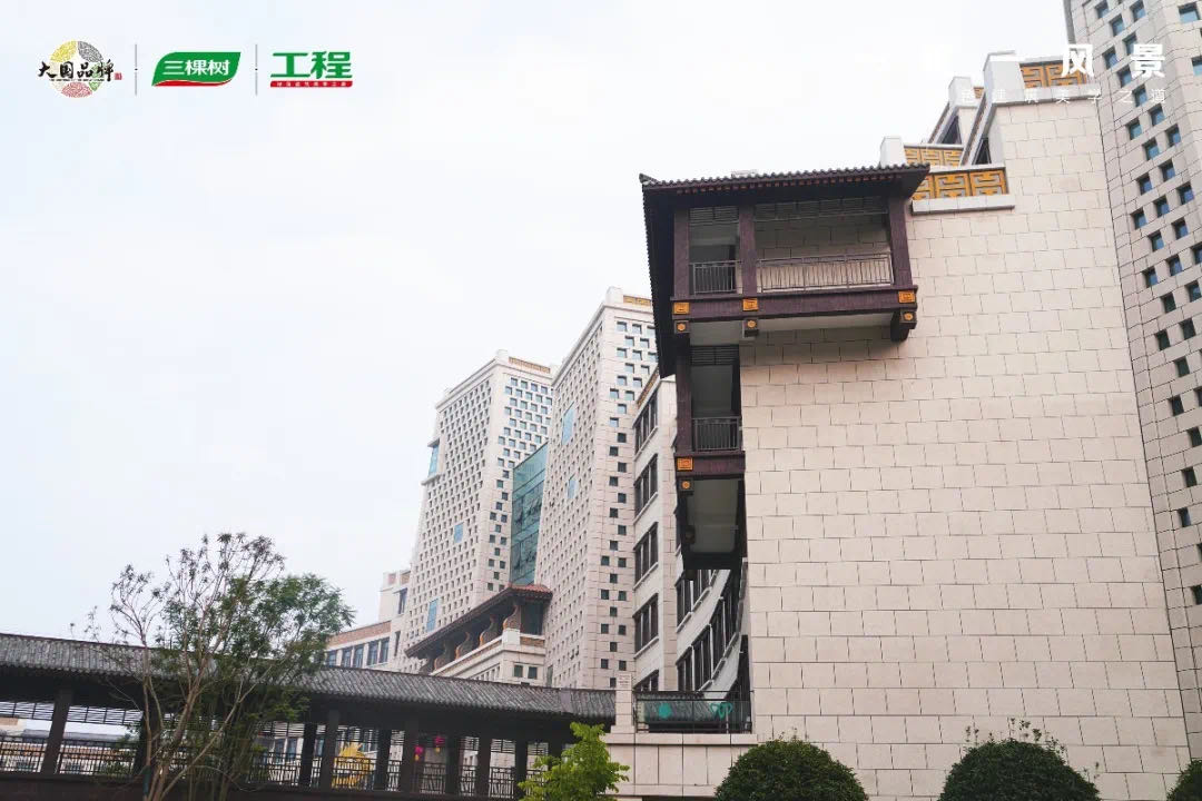 三棵?5.jpg
