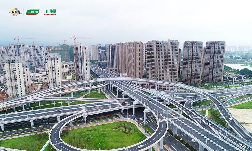 三棵?6.jpg