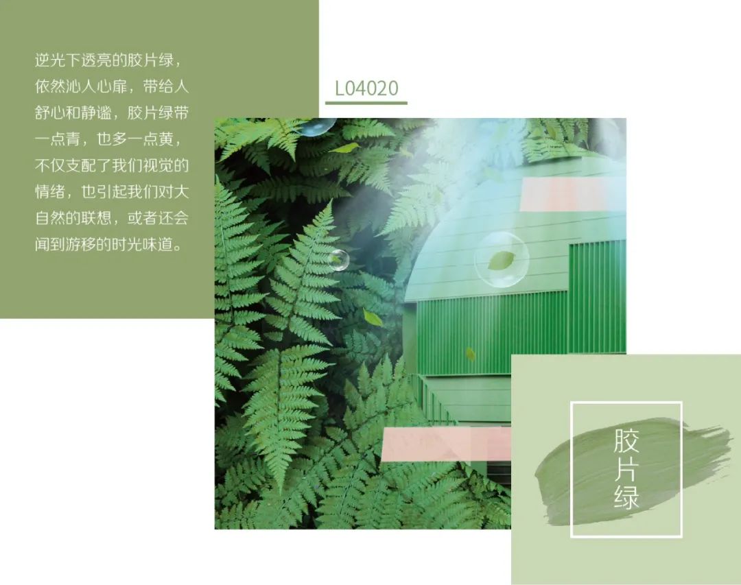 微信囄_20210105140825.jpg