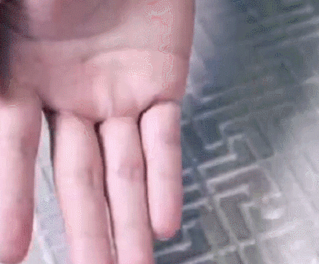 鍥剧墖4.png