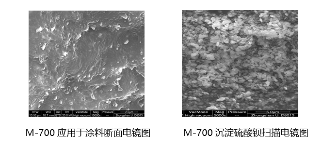 楦垮織鏂版潗2.png