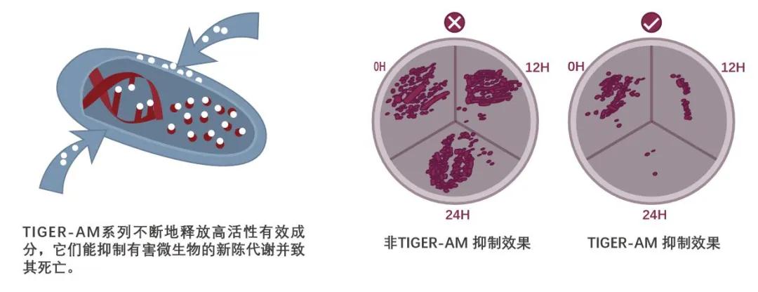 寰俊鍥剧墖_20210126145121.jpg