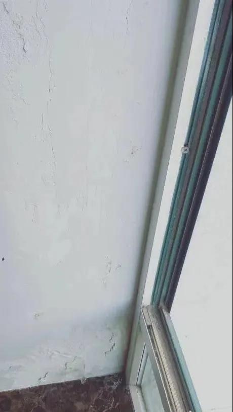 寰俊鍥剧墖_20210319114107.jpg