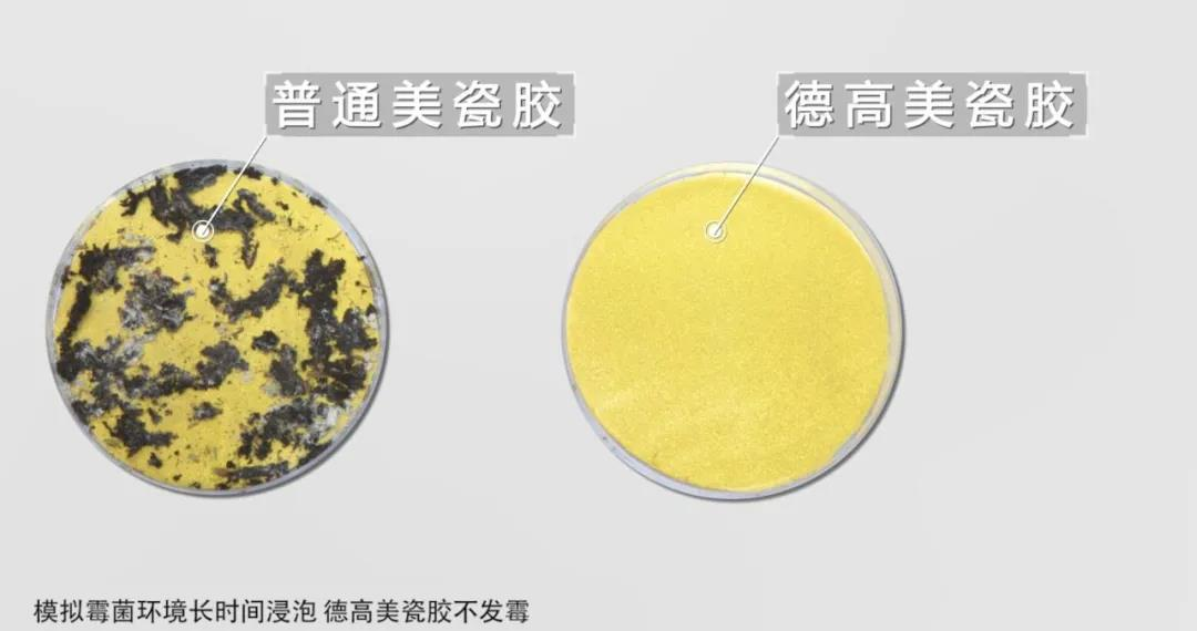 鍥剧墖 3.png