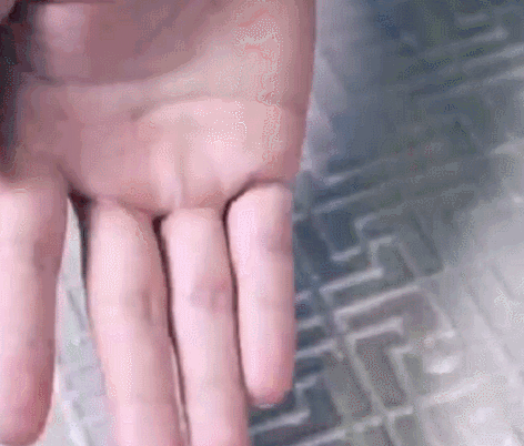 寰俊鍥剧墖_20210517132157.gif