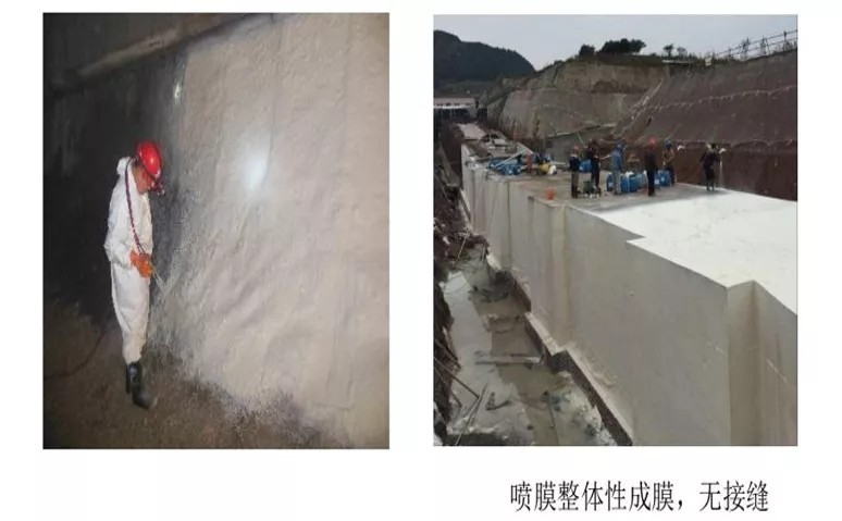 鍥剧墖8.png