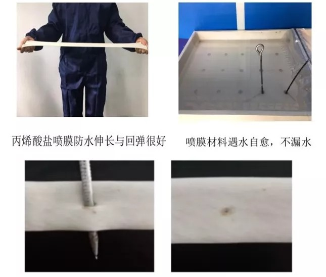 鍥剧墖9.png
