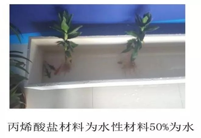 鍥剧墖10.png