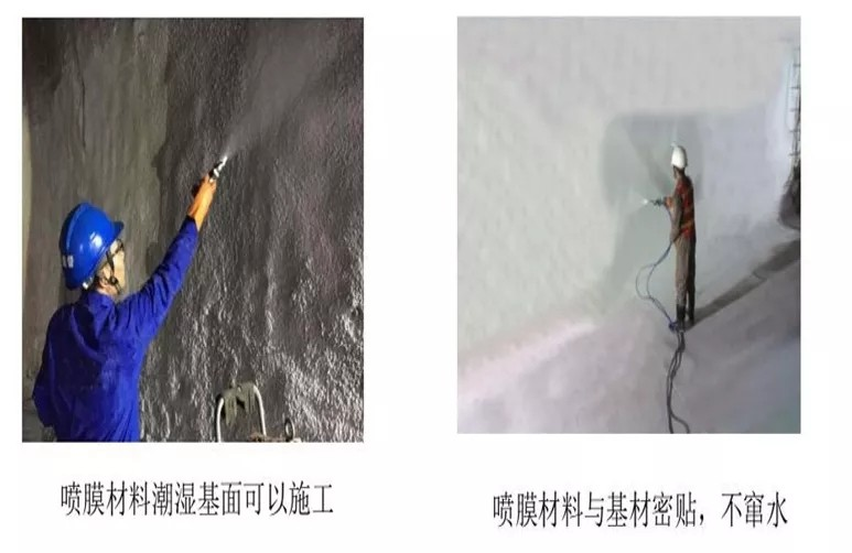 鍥剧墖13.png