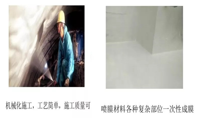 鍥剧墖15.png