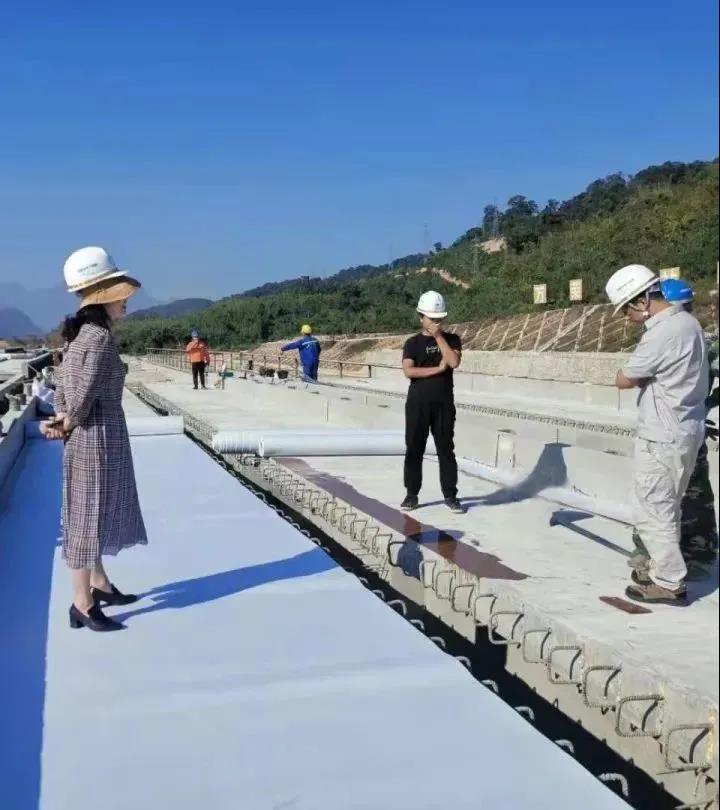 鍖楁柊1.jpg