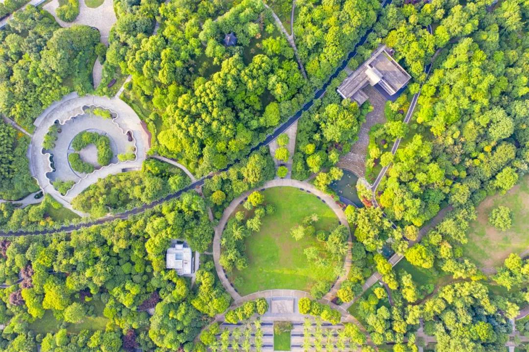 集泰3.jpg