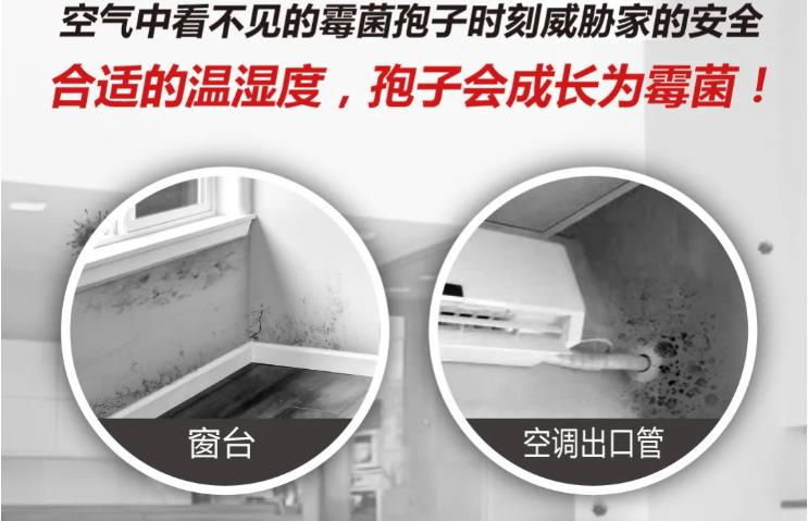 鍥剧墖 1.png