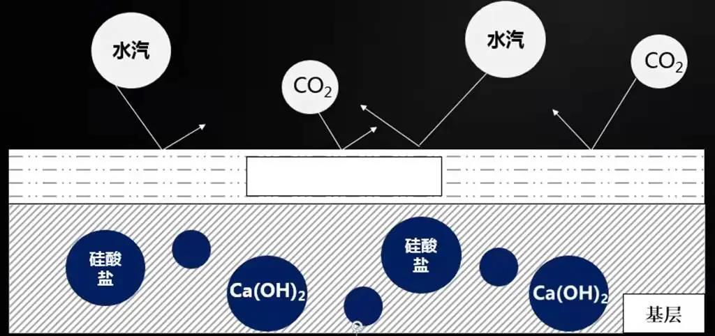 寰俊鍥剧墖_20211223133955.jpg