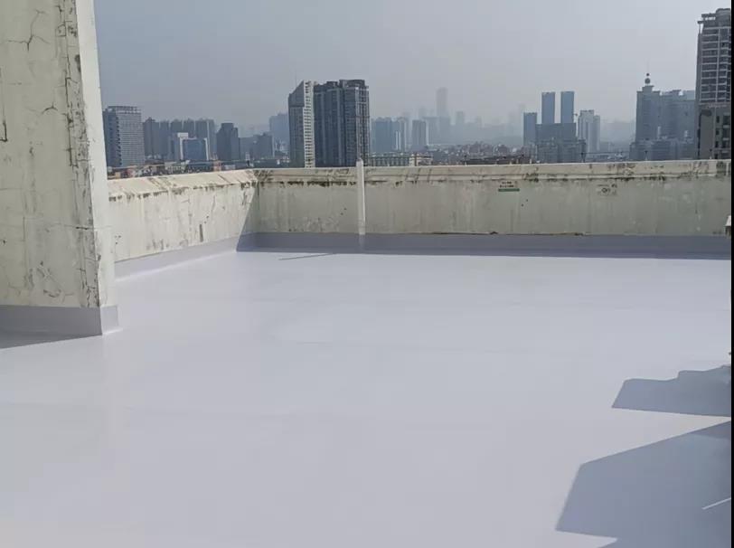 寰俊鍥剧墖_20220112091439.jpg