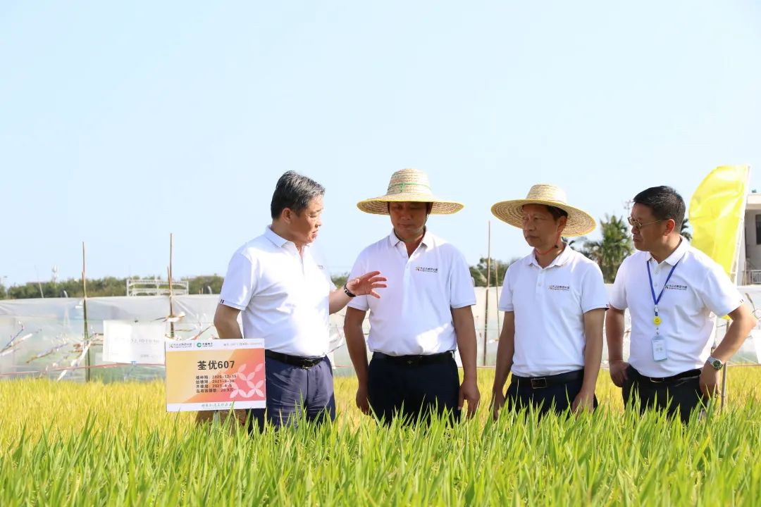 zhonghua2022030803.png