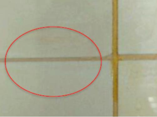 鍥剧墖 2.png